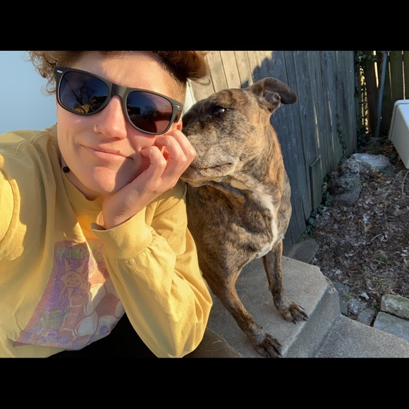 Meet your Posher, Guinevere - Picture 7 of 10